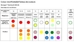 Bacillus ID color chart